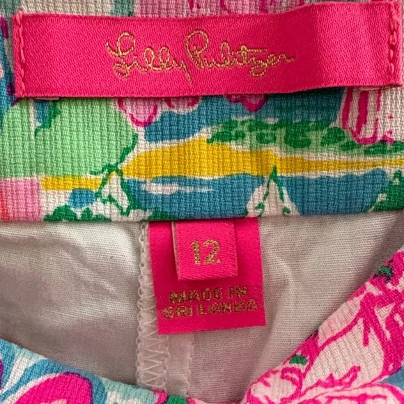 Lilly Pulitzer state of mind Skirt - Picture 2 of 12